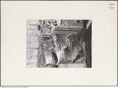 Vorderseite von bh445768_recto