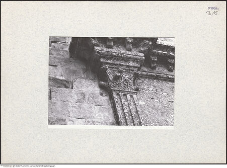 Vorderseite von bh445769_recto