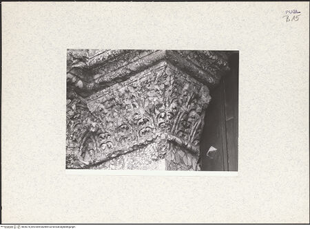 Vorderseite von bh445770_recto