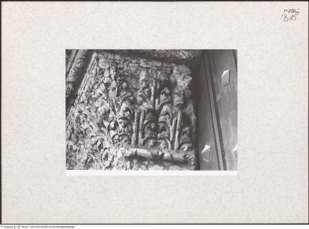 Vorderseite von bh445771_recto