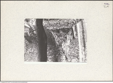 Vorderseite von bh445777_recto