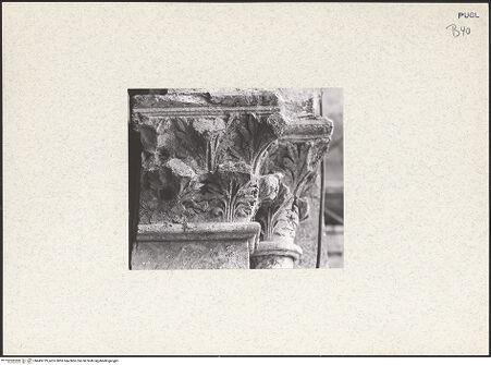 Vorderseite von bh445779_recto