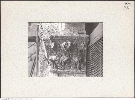 Vorderseite von bh445782_recto