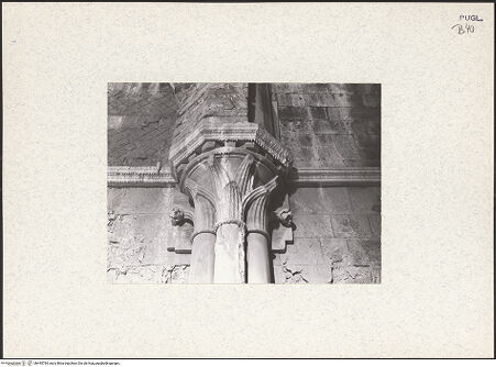 Vorderseite von bh445784_recto