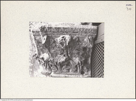 Vorderseite von bh445786_recto