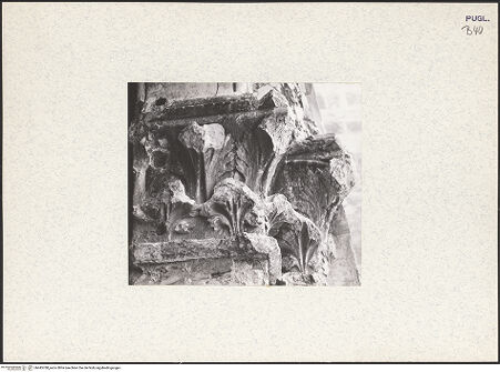 Vorderseite von bh445788_recto