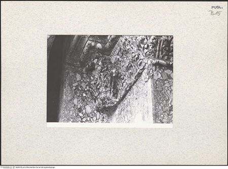 Vorderseite von bh445789_recto