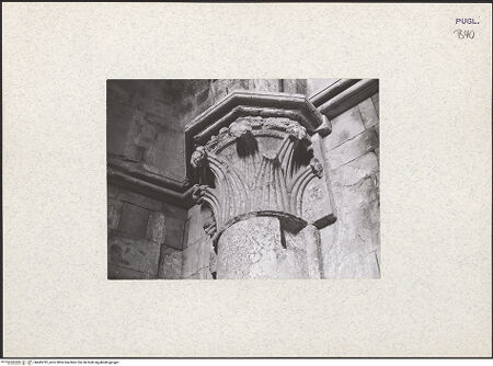 Vorderseite von bh445792_recto