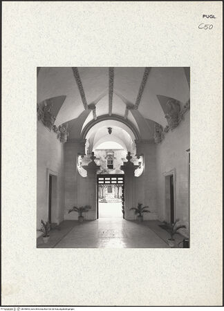 Vorderseite von bh445893_recto