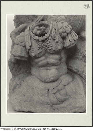 Vorderseite von bh446313_recto