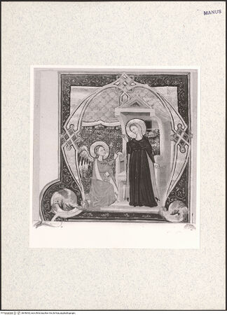 Vorderseite von bh446362_recto