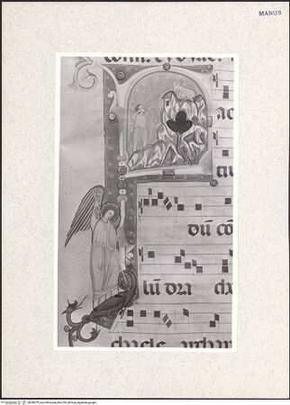 Vorderseite von bh446379_recto