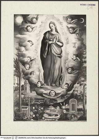 Vorderseite von bh446393_recto