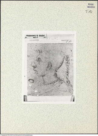 Vorderseite von bh446407_recto