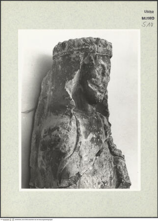 Vorderseite von bh446504_recto