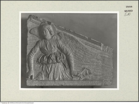 Vorderseite von bh446508_recto