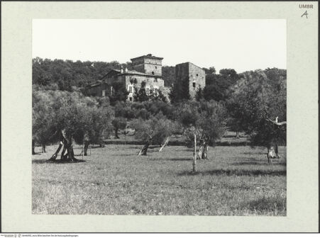 Vorderseite von bh446592_recto