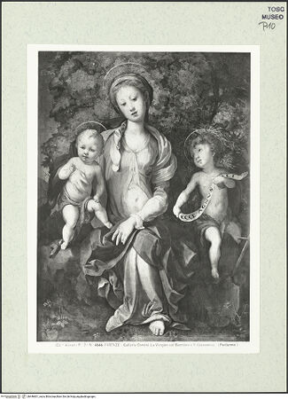 Vorderseite von bh446601_recto