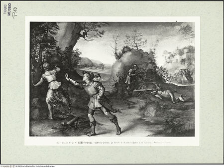 Vorderseite von bh446613_recto