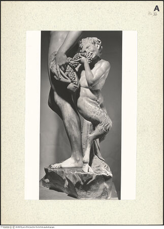 Vorderseite von bh446654_recto