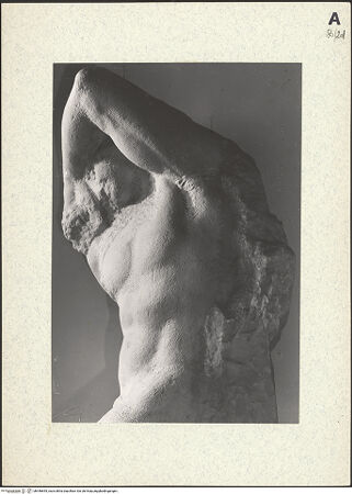 Vorderseite von bh446655_recto