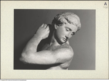 Vorderseite von bh446656_recto