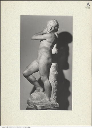 Vorderseite von bh446657_recto