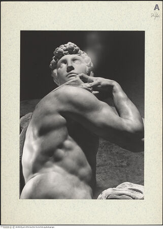 Vorderseite von bh446660_recto