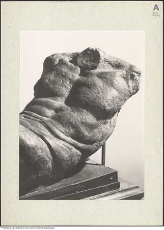 Vorderseite von bh446663_recto