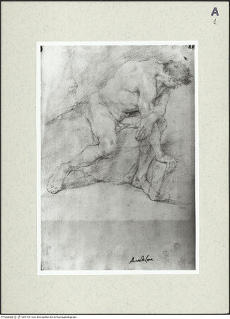 Vorderseite von Soprintendenza Gallerie - Napoli [https://www.deutsche-digitale-bibliothek.de/content/lizenzen/rv-ez/] Studie eines männlichen Aktes - , bh447237_recto. Foto.