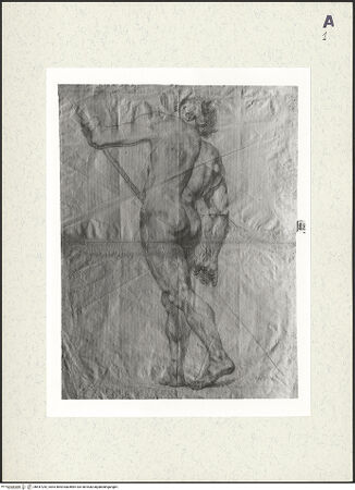 Vorderseite von bh447242_recto