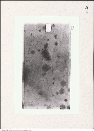 Vorderseite von bh447281_recto