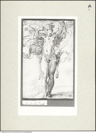 Vorderseite von bh447306_recto