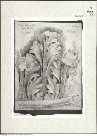 Vorderseite von bh447563_recto