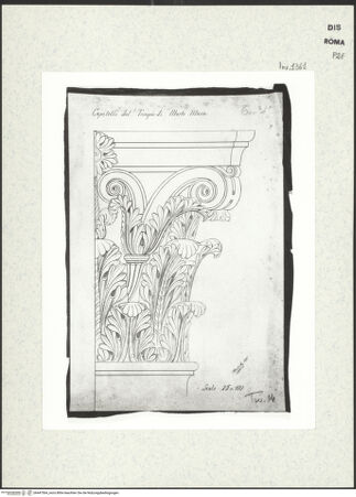 Vorderseite von bh447564_recto