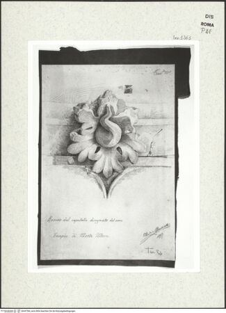 Vorderseite von bh447566_recto