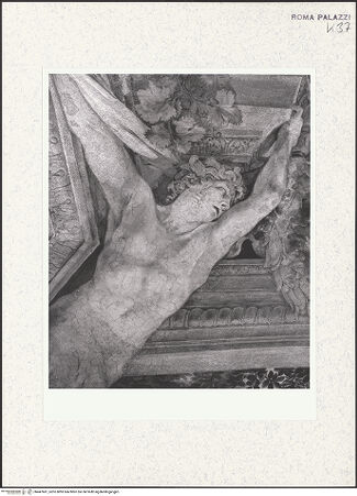 Vorderseite von bh447681_recto