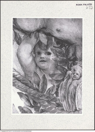 Vorderseite von bh447727_recto