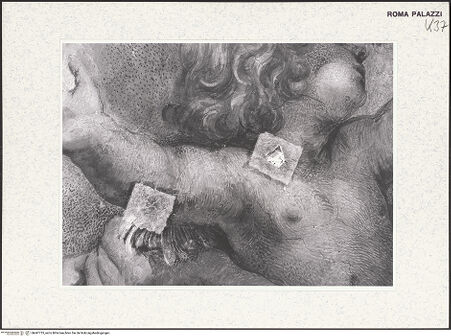 Vorderseite von bh447735_recto