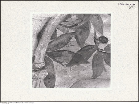 Vorderseite von bh447741_recto