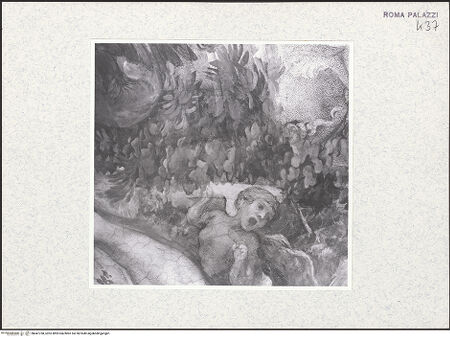 Vorderseite von bh447768_recto