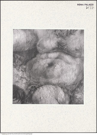 Vorderseite von bh447769_recto