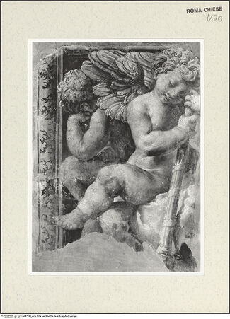 Vorderseite von bh447895_recto