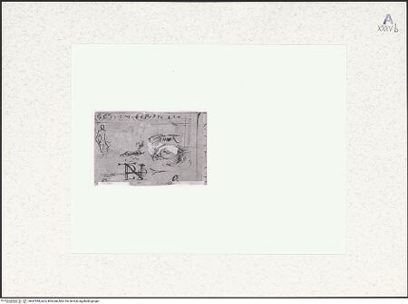 Vorderseite von bh447944_recto