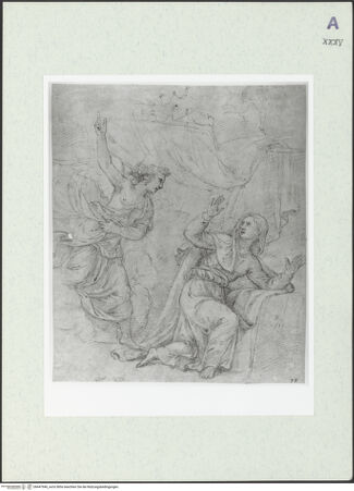 Vorderseite von bh447946_recto