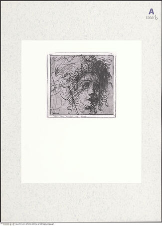 Vorderseite von bh447952_recto