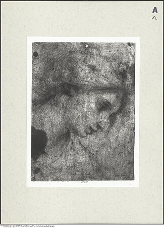 Vorderseite von bh447979_recto