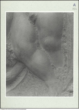 Vorderseite von bh447980_recto