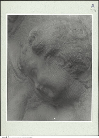 Vorderseite von bh447987_recto