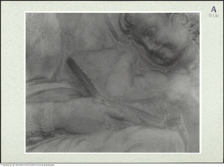 Vorderseite von bh447988_recto